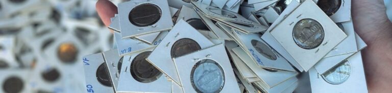 Hand holding a large collection of coins in holders, some labeled with grades like "VF" and "BU."