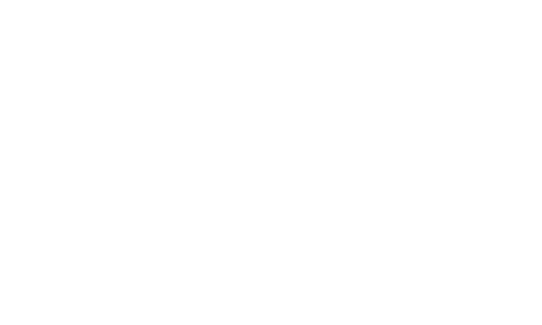 Numismatic Guaranty Corporation logo with scales and text "AUTHORIZED DEALER" below.